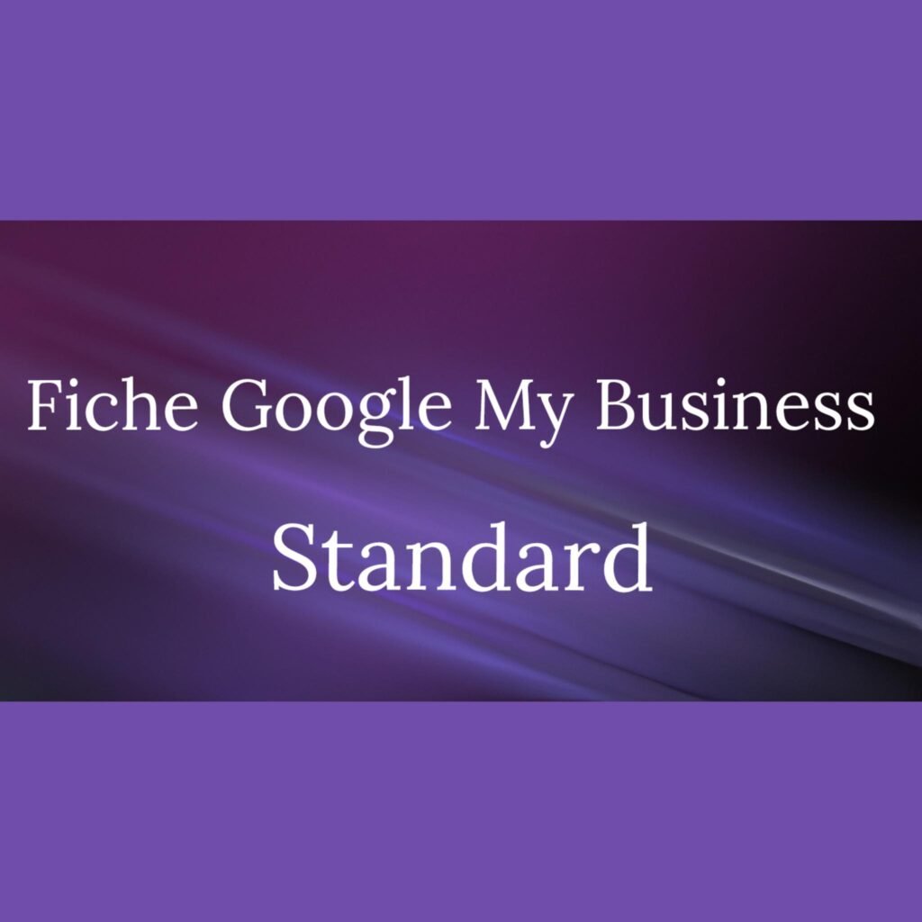 Création de la fiche Google My Business Standard